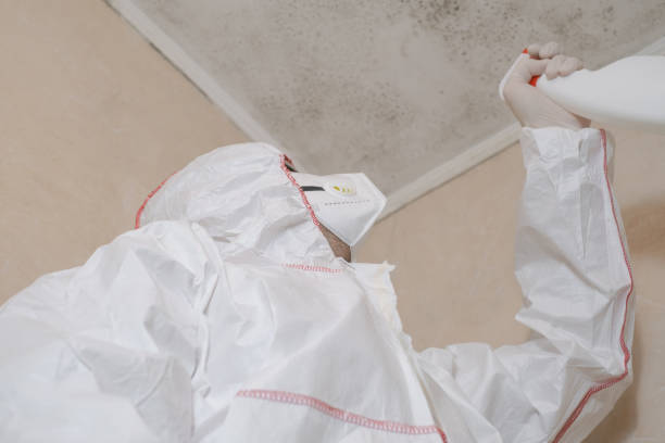 Mold Remediation for Rental Properties in Clearlake Riviera, CA